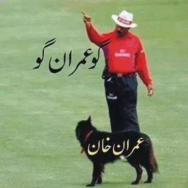 AdelNaseem's tweet photo. گوعمران گو http://t.co/OVMUcyrzEi
