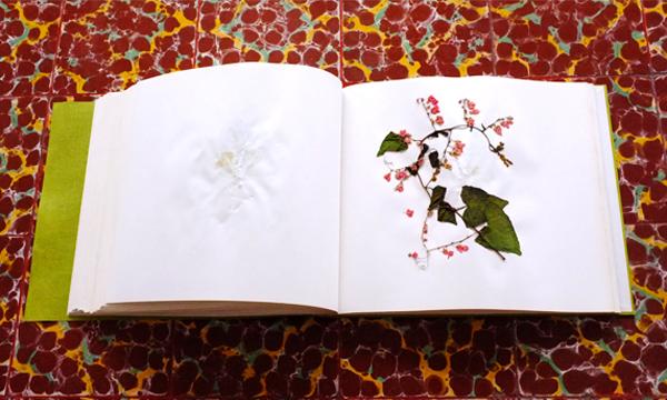 The Pieces of #CannabisFriends