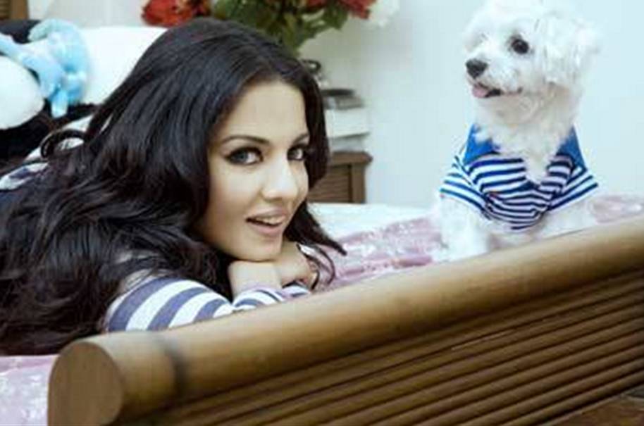 Wave Cinemas wishes Celina Jaitley a very Happy Birthday! 