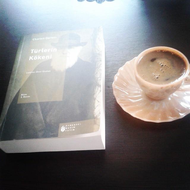 Kitap ve Kahve (kitapvekahve) Twitter