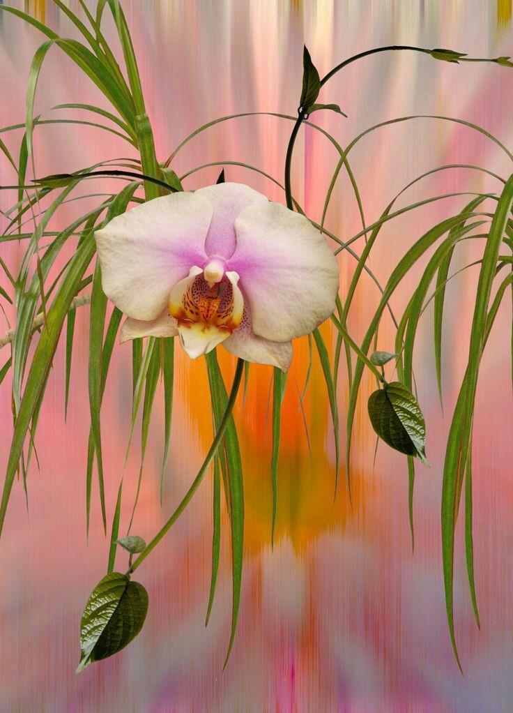 salehhadisalem's tweet photo. @MarionSpekker 
 I do love good morning to Friends individual person http://t.co/9x8GlsToVs