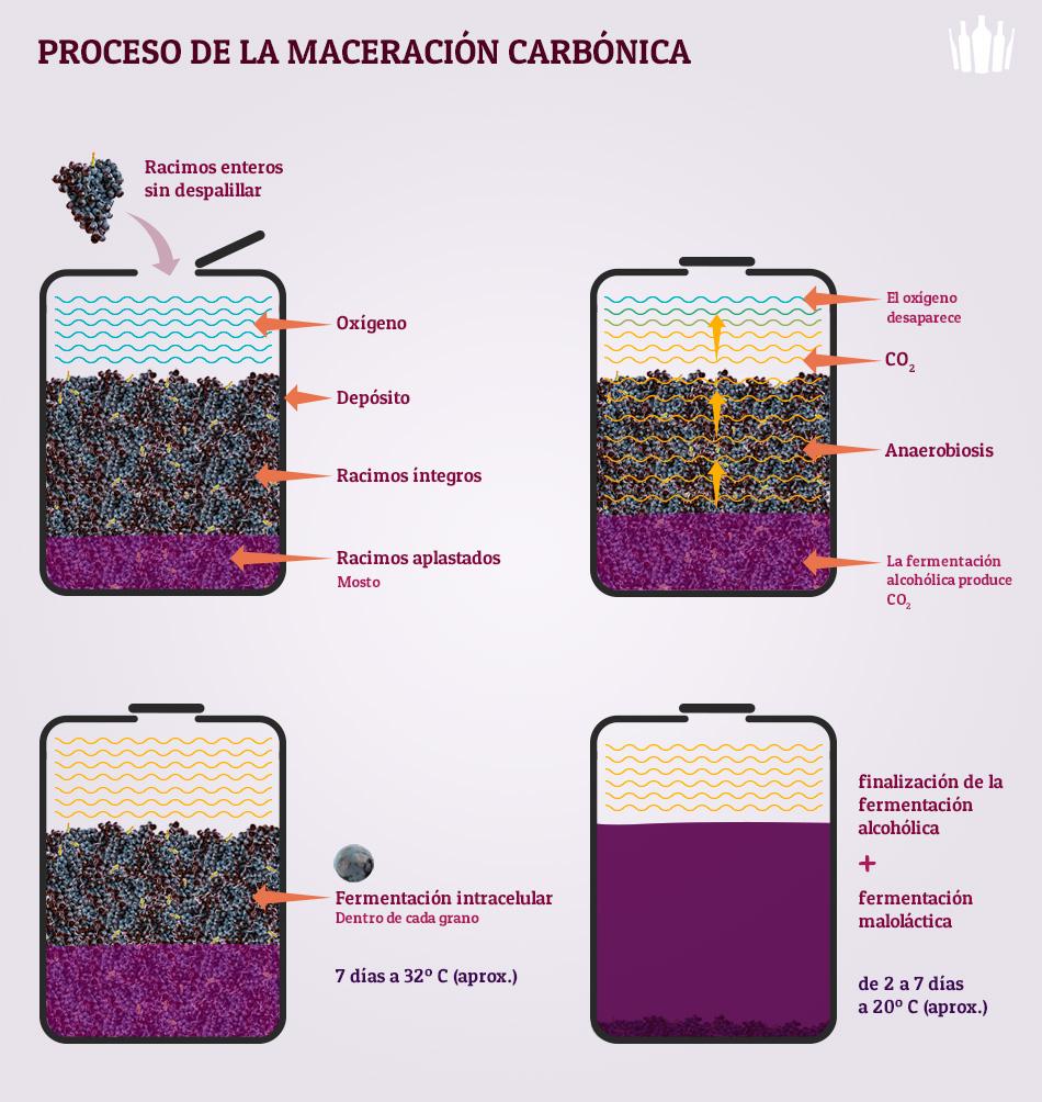 elcatacaldos's tweet photo. Interesante infografia sobre el proceso de la maceracion carbonica en el #vino...#wine carbonic maceration #winelover http://t.co/koCoYffAxV