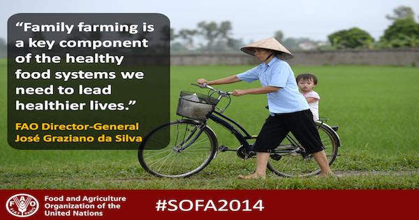 FAOKnowledge's tweet photo. We need family farms to ensure global food sec. Innovation in family farming http://t.co/1HZ68GdsPE #SOFA2014 #IYFF14 http://t.co/3m2D9BxMkZ