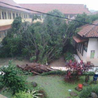 Ferginia_22's tweet photo. Pohon tumbang + banjir weee... -_- http://t.co/IxENjXcGHh