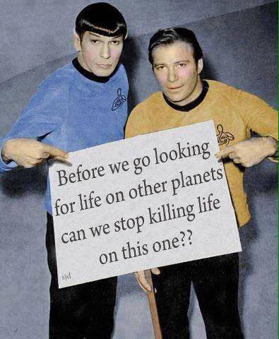 Lydia_Canaan's tweet photo. #Exactly #AnybodyListening?! #Life #Precious #HumaneEvolution #Love #Peace #Compassion #Humanity http://t.co/RgkVdqC8M2