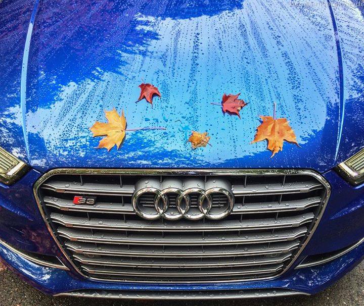 AudiHellas's tweet image. Χειμώνιασε για τα καλά! Καλή βδομάδα! 
#Audi S3.
facebook.com/AudiHellas/pos…
