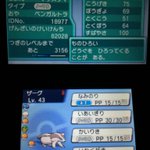 ポケモンって ひでん技を覚えるのが罰ゲーム過ぎるから 真の仲間達と
