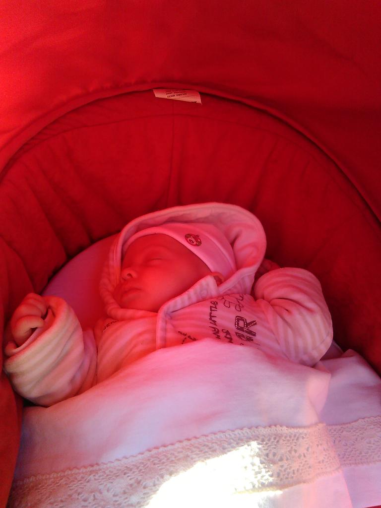 De beste plek om te slapen: buiten in de zon! 
#waarkaniksnachtszonbestellen??