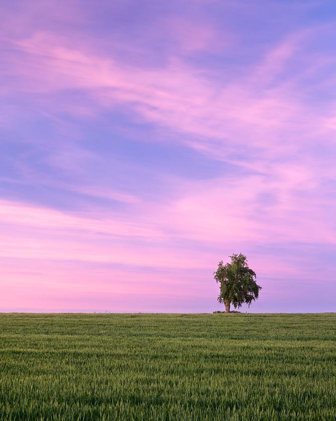 DSTN_ORG's tweet photo. #photo #фотография #фото Прекрасные пейзажи штата Колорадо
Фотограф Alex Burke: http://t.co/h6WEk6rvRd http://t.co/tNFXWegjnX