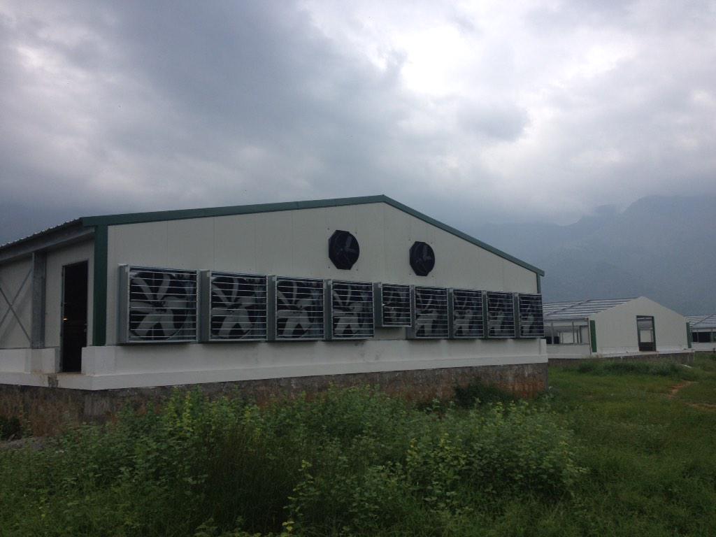 EdGubbels's tweet photo. A new breeder Farm in the south of India is equiped with a Fancom L37 in oder to give the birds a perfect climate. http://t.co/g3ysMWyptQ
