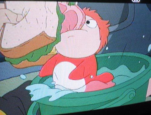 ポニョ 公式 Sentotihirorin Ponyon Bot ハムは無理だよ 変わりにポニョの塩焼き作ってやるよー Http T Co Ixgay2qreb リンサァァァァァアン どうりでさっき閉じ込められた Http T Co K2iycl4scs