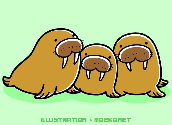 セイウチのtwitterイラスト検索結果 古い順 セイウチのtwitterイラスト検索結果 古い順