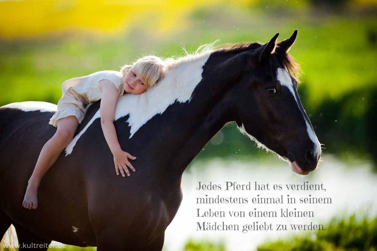 Kultreiter on "Jedes #Pferd es verdient, mindestens einmal in seinem Leben von einem kleinen Mädchen geliebt zu werden ♥ #reiten http://t.co/qrK1l8XRnU" /