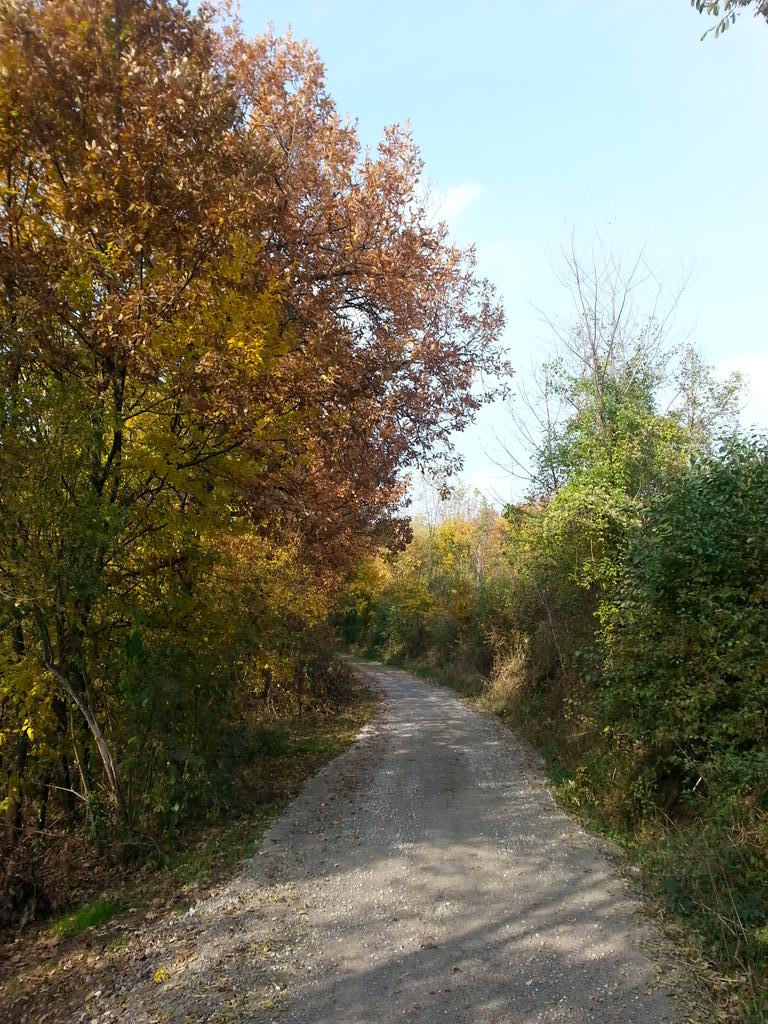 lmatic1_'s tweet photo. Putevi zavicaja mog #Loznica #Divci http://t.co/TPF9rxDrsZ
