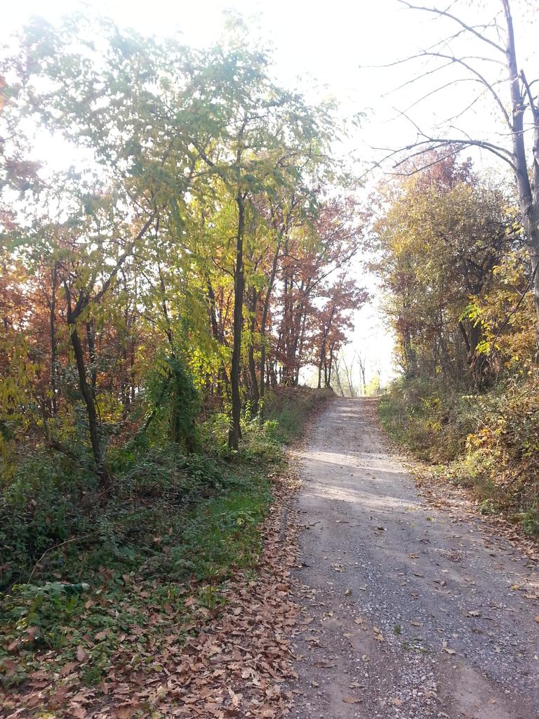 lmatic1_'s tweet photo. Putevi zavicaja mog #Loznica #Divci http://t.co/TPF9rxDrsZ