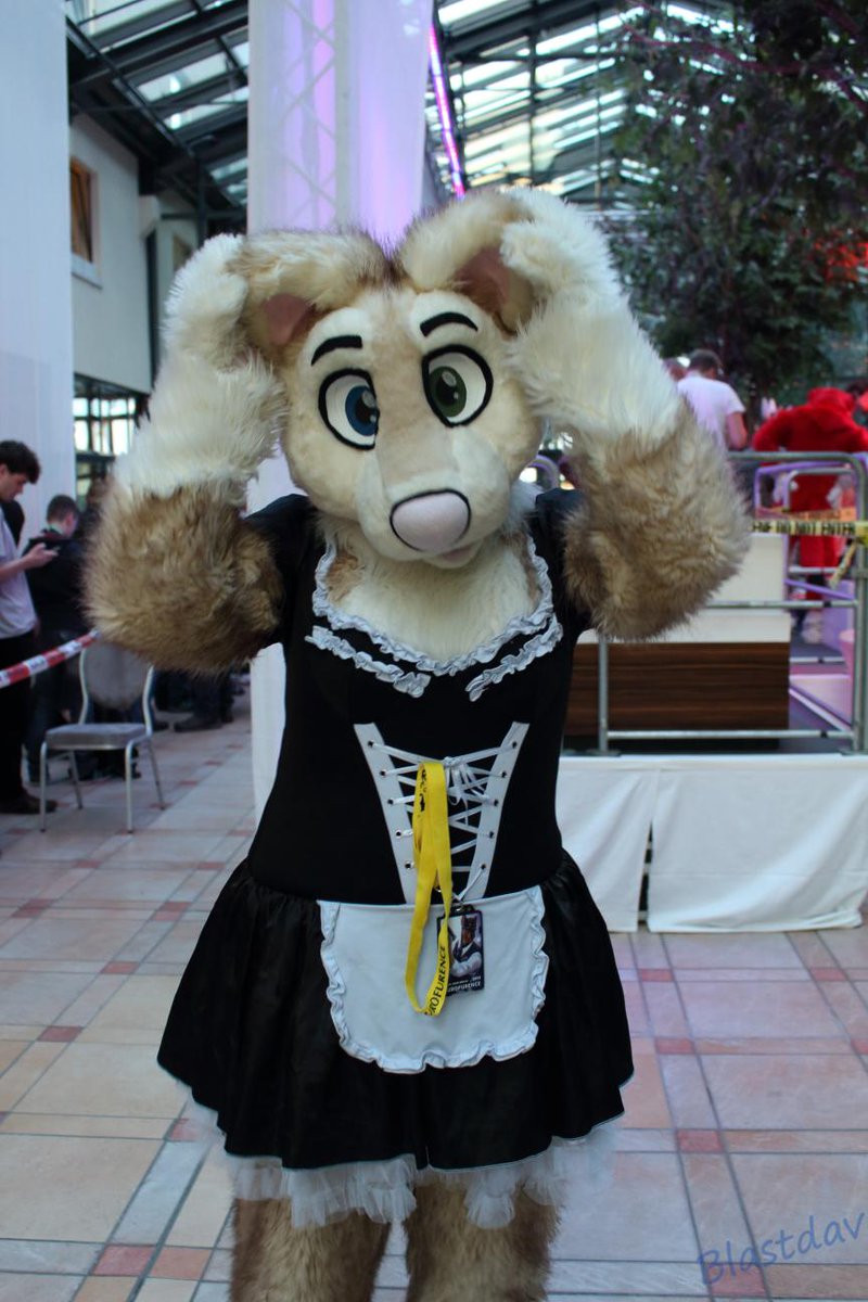 _PizzaPuppy's tweet photo. Here take an adorable @ravenhusky maid! Every household needs one! #Fursuit #Maid #Subsky http://t.co/O0kqb7GnP3