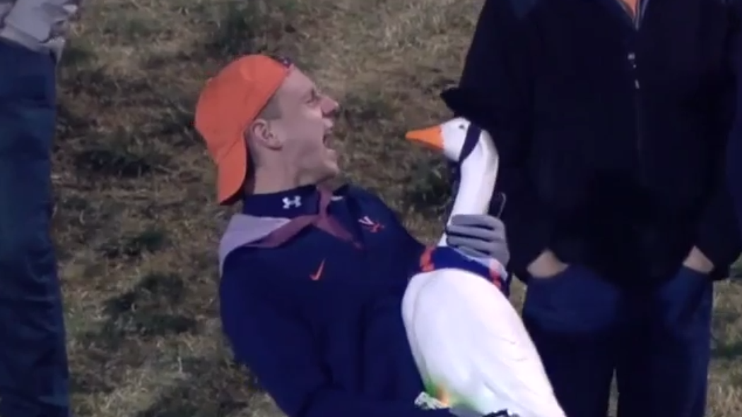 EXCLUSIVE Interview with #UVA's #GooseGuy, who captured ESPN's cameras &amp; now ladies' hearts sbnation.com/e/7038042