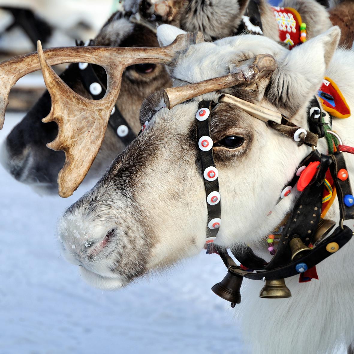 PolarGlobal's tweet image. Unleash your inner energy and share it on Instagram. 30 best entries will #win a #PolarLoop! energyunwrapped.polar.com