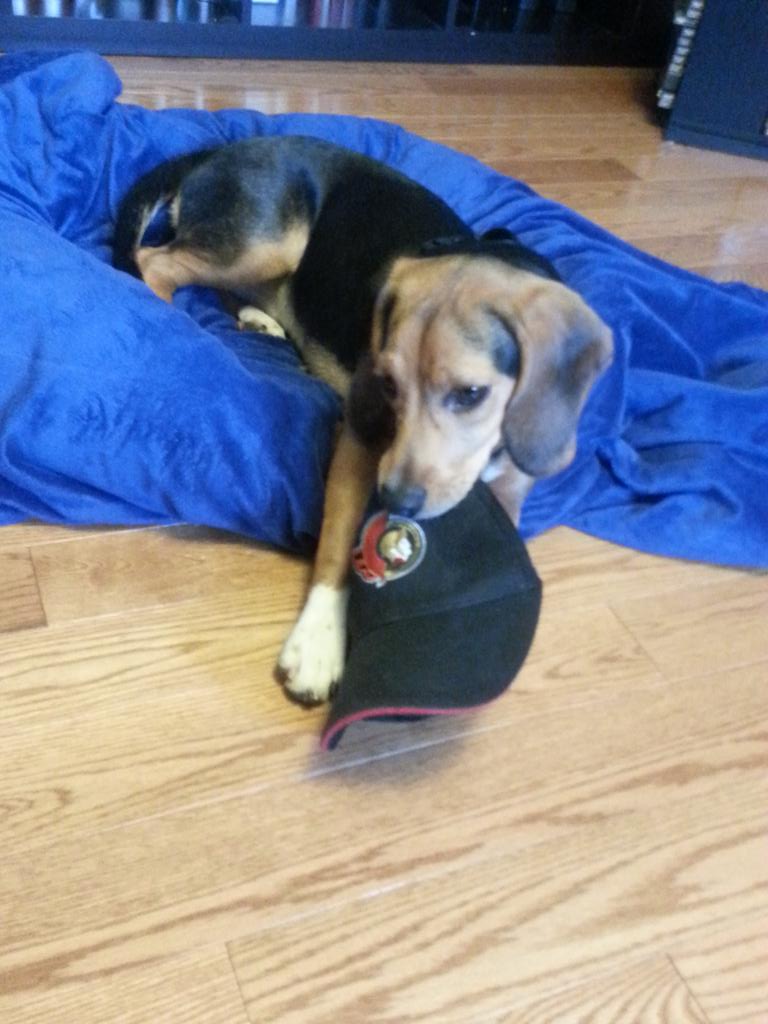 @b_ryan9 <a href="/ErikKarlsson65/">Erik Karlsson</a> <a href="/Senators/">Ottawa Senators</a> She's already preparing for the game tonight and putting me to shame. #SENS