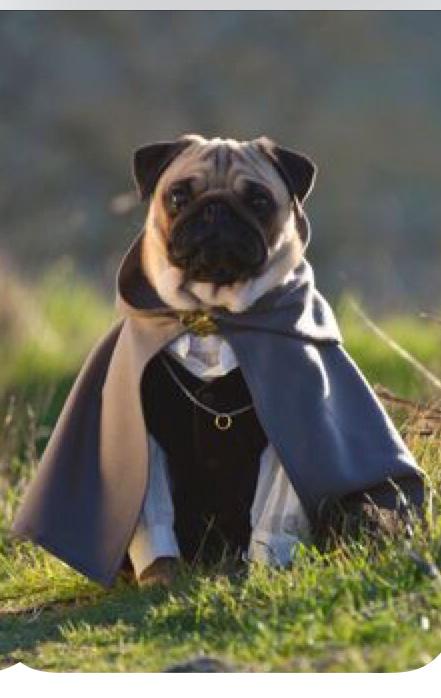 cher's tweet photo. Frodo-g ? http://t.co/Uor4JJYHvU