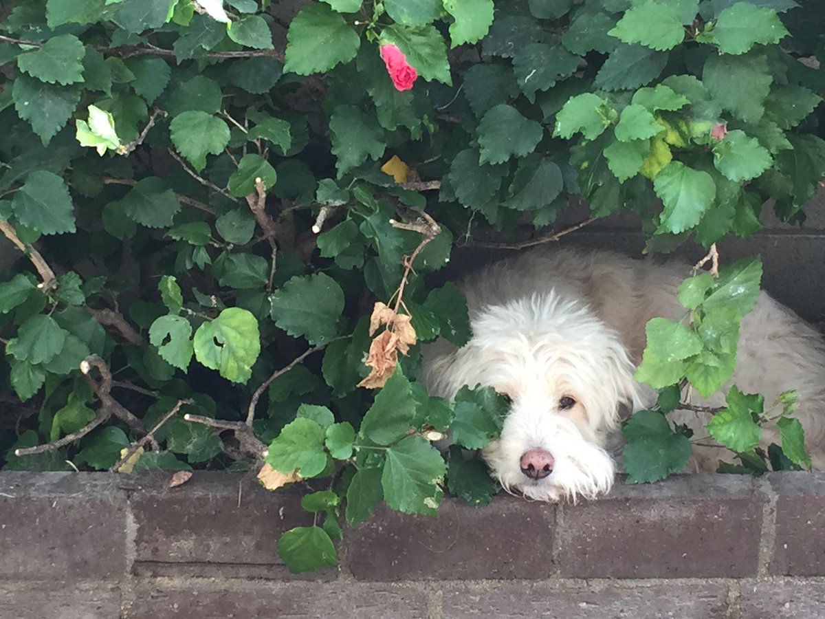 Where's Walter?