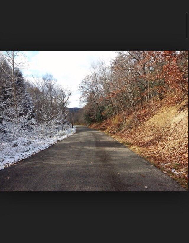 SamDecicco's tweet image. New york weather is like..👀