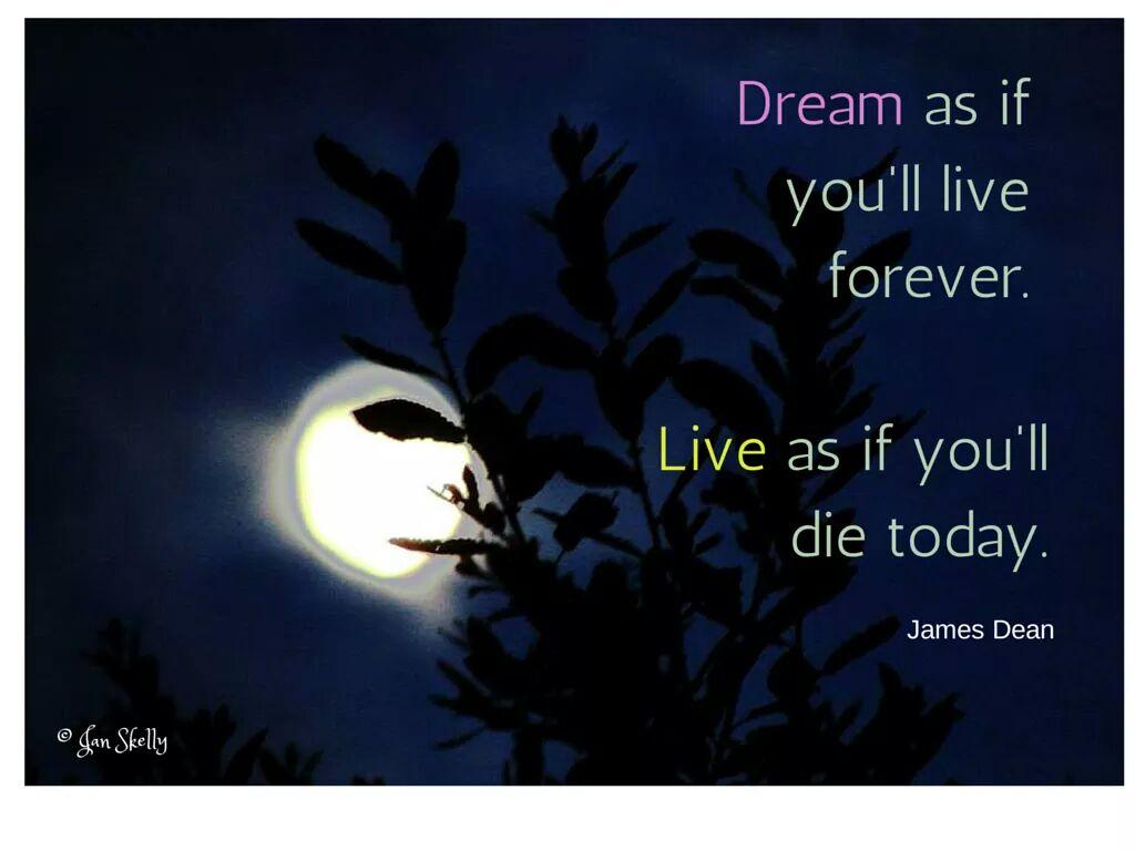 B_1nspired's tweet photo. #dream as if you'll live forever, live as if you'll die today #JamesDean #inspiredquotes #myphotography http://t.co/oZUVFXC1Ik