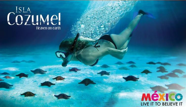 OntTravelDeals's tweet image. $595 #Toronto to Cozumel for 7 nights all inclusive
torontotraveldeals.com/go/?p=858