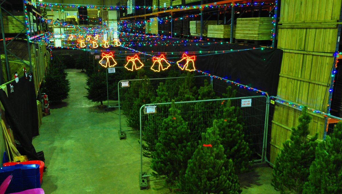 cocklestorm's tweet image. T minus not many days until the #delivery of #real #nondrop #christmas #trees