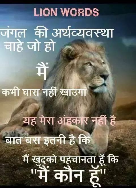 vjoshij's tweet photo. ---
---
Sent by WhatsApp http://t.co/YE5rjTzJUX