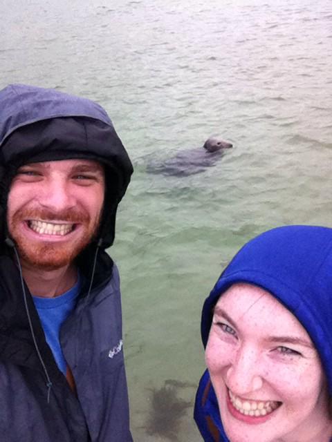 gabbycandance's tweet photo. Sealfies in England http://t.co/ZgUFuxJUIX