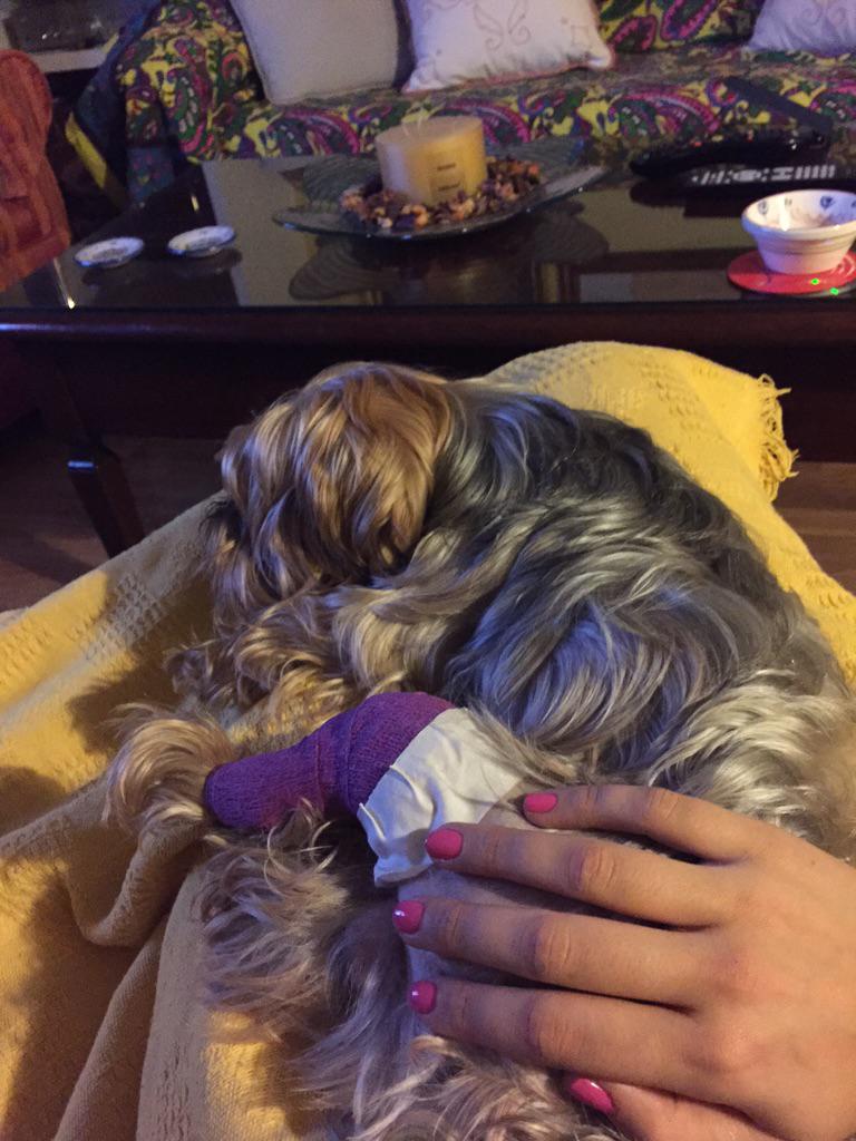 elenamm03's tweet photo. Ya esta en casa mi peque... Ahora a recuperarse!!! http://t.co/RIbGd5UuJw