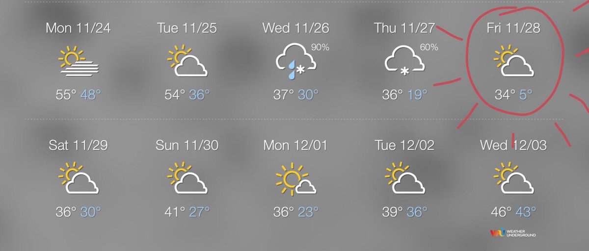 Matt Miller tweet media