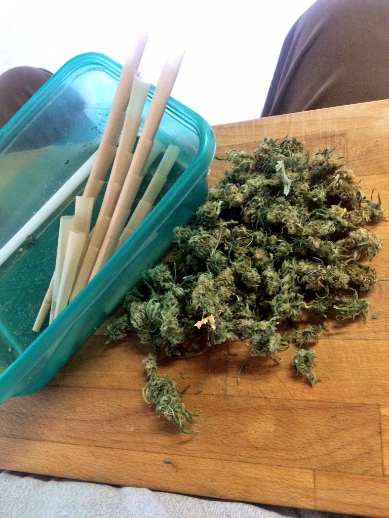 RileySRP's tweet photo. Rollin up some #spaceQueen for #TheGreenFront #OMMP #Sifi #ConeStuffin http://t.co/LD1RyxhSJi