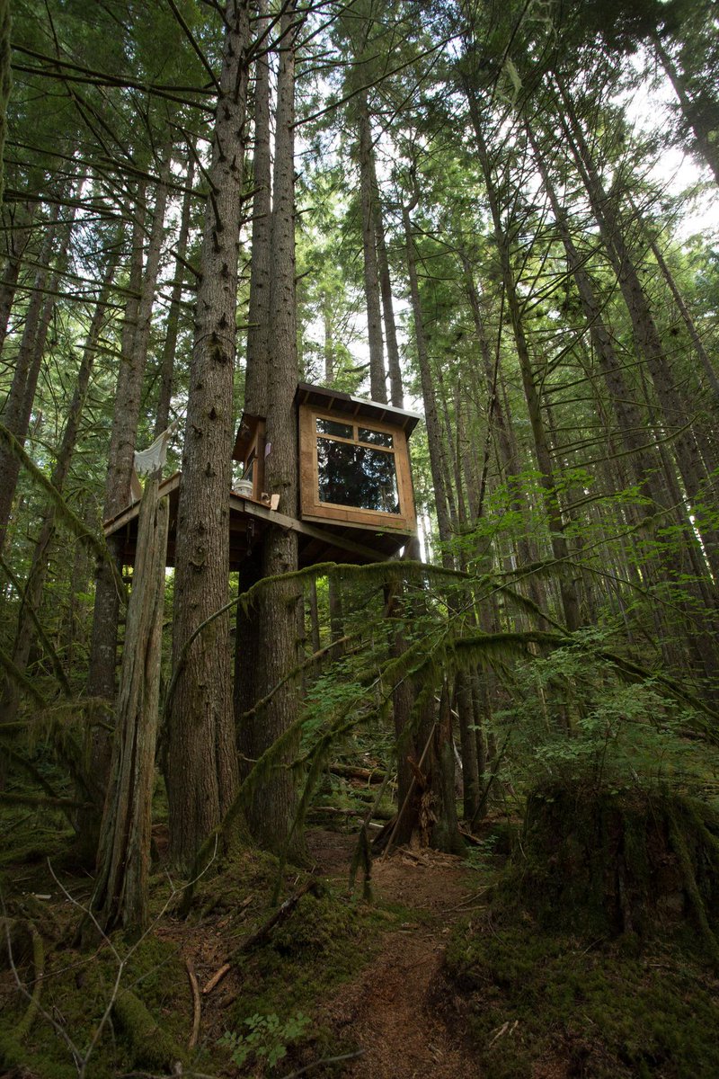 Treehouse built from salvaged materials near Squamish, British Columbia.
cabinporn.com/post/103462894…