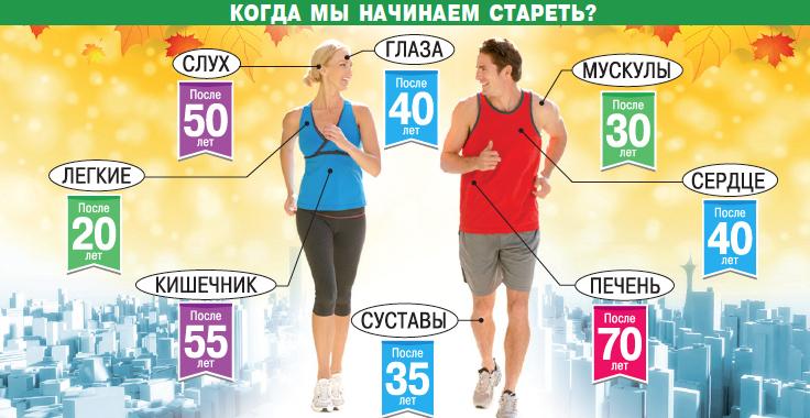 Наглядно о том, в какой очередности стареют различные системы нашего организма.