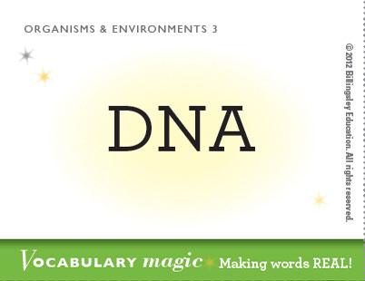 Vocabulary Magic tweet media