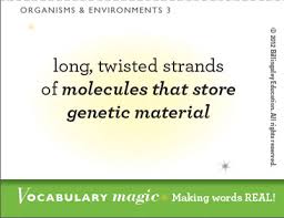 Vocabulary Magic tweet media