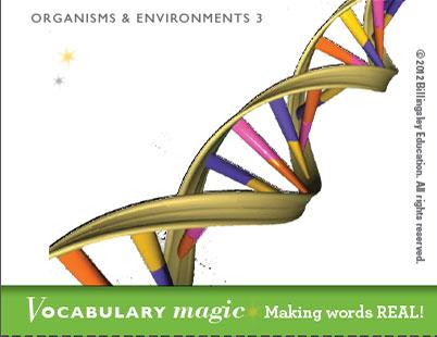 Vocabulary Magic tweet media