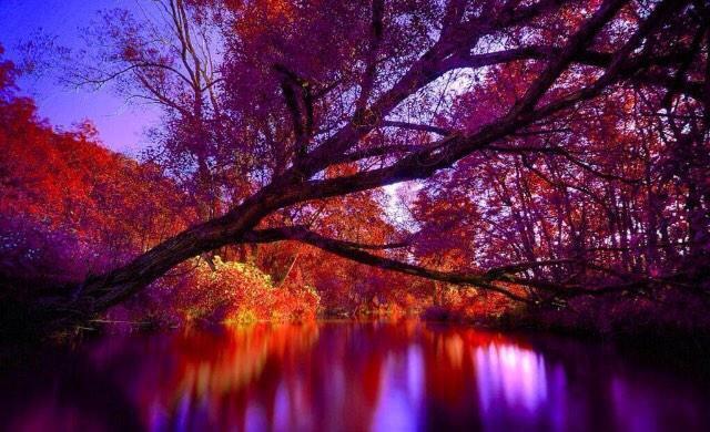 PaulHewittPhoto's tweet photo. Bright. http://t.co/l1QCDRVXV8