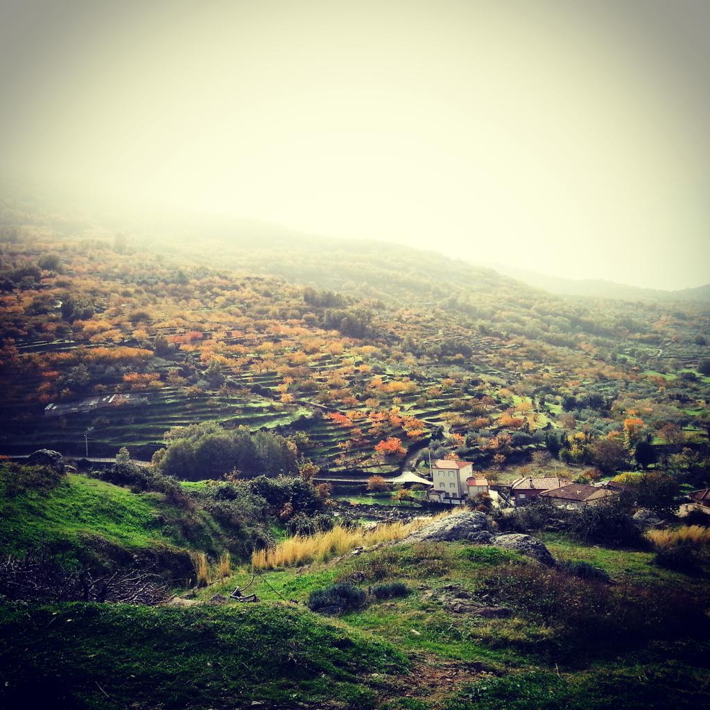 DamarisPF85's tweet photo. Otoño màgico!! http://t.co/FTWeO2LR3J