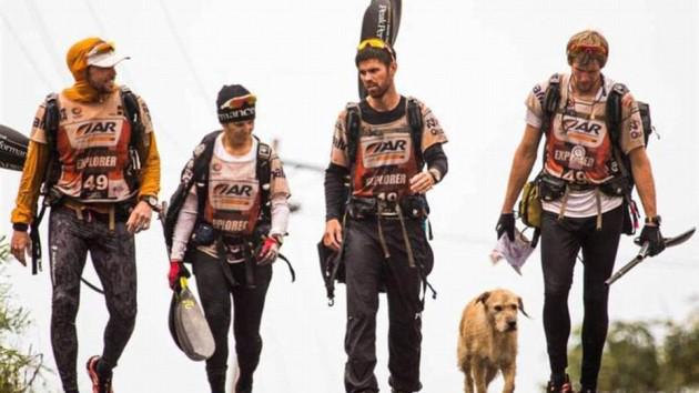 20m_genteytv's tweet photo. Arthur, el perro que recorrió 10.440 kilómetros en busca de un nuevo hogar http://t.co/4Al0l8qpQ5 http://t.co/sKk3jUQ6rh