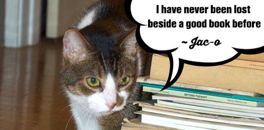 kittygrass's tweet image. Happy game and puzzle week! #GameAndPuzzleWeek #CatsOfTwitter