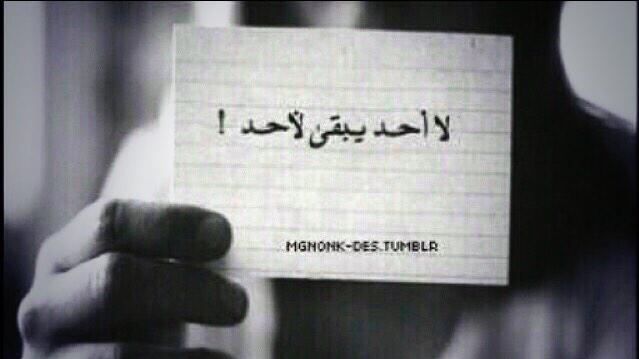 DharyHail tweet picture