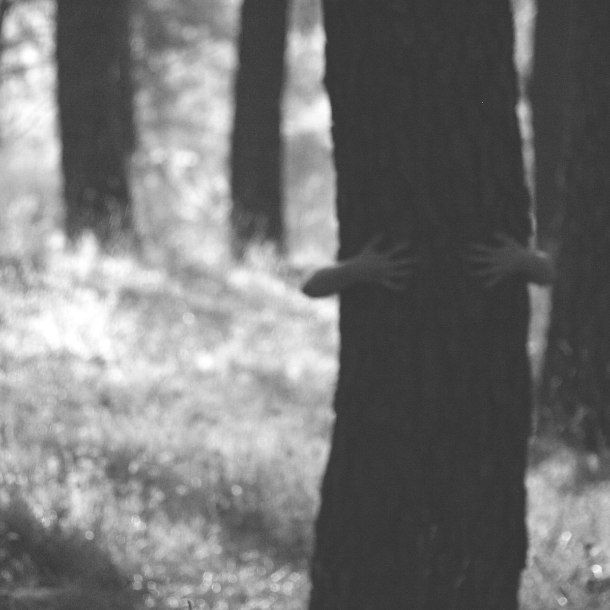 Ewosa's tweet photo. #Hervás #Otoño #Lacabinaotoño @galerialacabina #Instantes http://t.co/5cVWOmIbSy