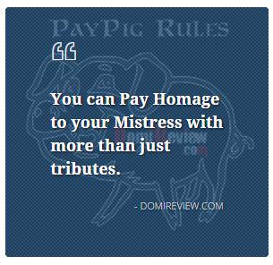 DomiReview's tweet photo. #PayPigRules #3 read more http://t.co/W2YL5KqhUX - #FinDom #Domme #PayPig #FinSub #FinDomme #Dominatrix #Mistress http://t.co/sY9LSMuwj9
