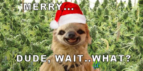 Holiday Greetings! Since its coming early this year.