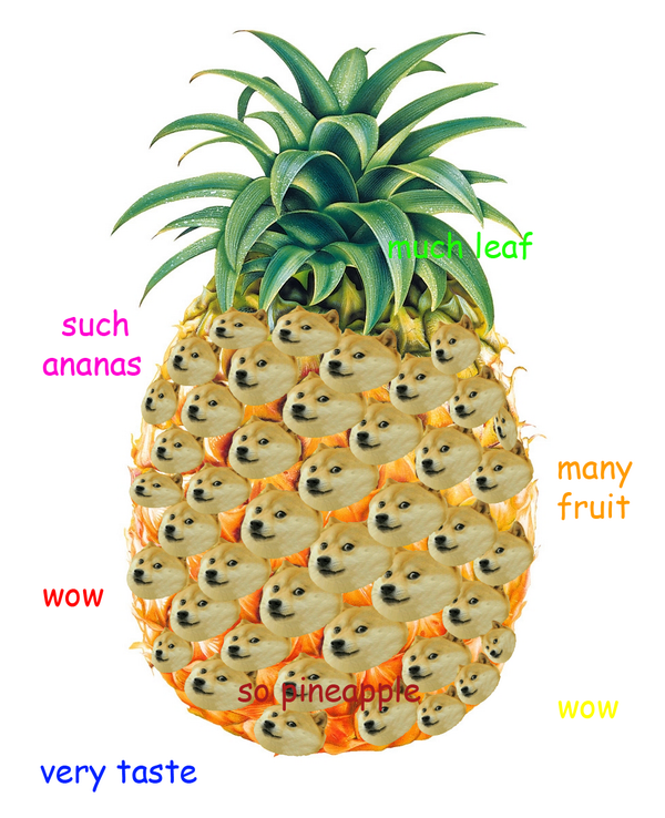 DogeTheDog's tweet photo. Wow
        So fruit
   Such dogeapple
      Much sweet
             Many spikey http://t.co/9OHBtHKmJN