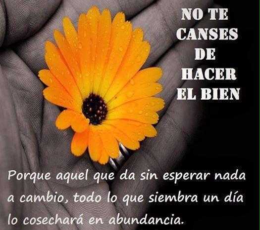 SEGUROSPADRON's tweet photo. @EuridiceGuerra @anna47cecy @johanny_rm @erysabela @GINA_MONTERO @ccalatrava @kathybaker1965 //Abrazos Tiernos✨🌟✨🌟✨🌟✨ http://t.co/YYjApIQYop