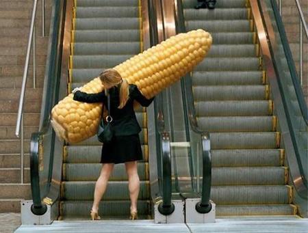 DeusVul7's tweet image. hahah RT @LuizDomingues: SENADORA GLEISI HOFFMANN (PT) EM IMAGENS INÉDITAS!  #AtrêFlyers #aRuaEhNossa29Nov #RipAlan